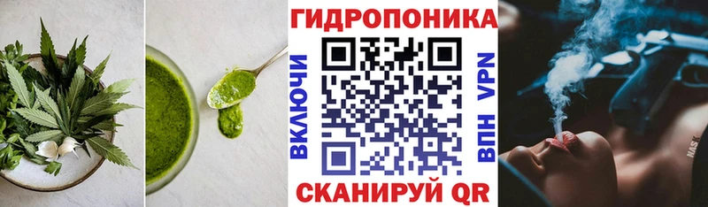 МЕГА вход  купить   Малмыж  Печенье с ТГК марихуана 