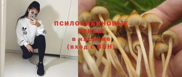 ГАЛЛЮЦИНОГЕННЫЕ ГРИБЫ Беломорск