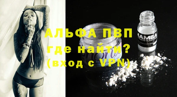 сатива Белоозёрский