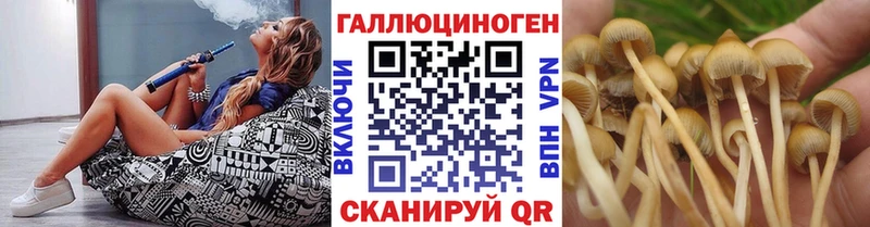 Псилоцибиновые грибы ЛСД  купить наркотик  Малмыж 